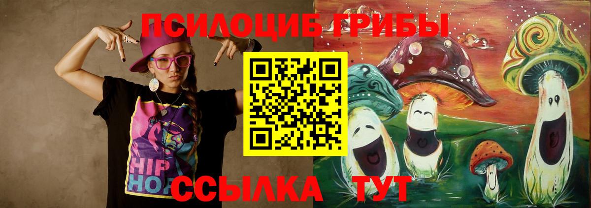 Псилоцибиновые грибы MAGIC MUSHROOMS  Вход с VPN  Карачаевск  Галлюциногенные грибы Psilocybine cubensis 